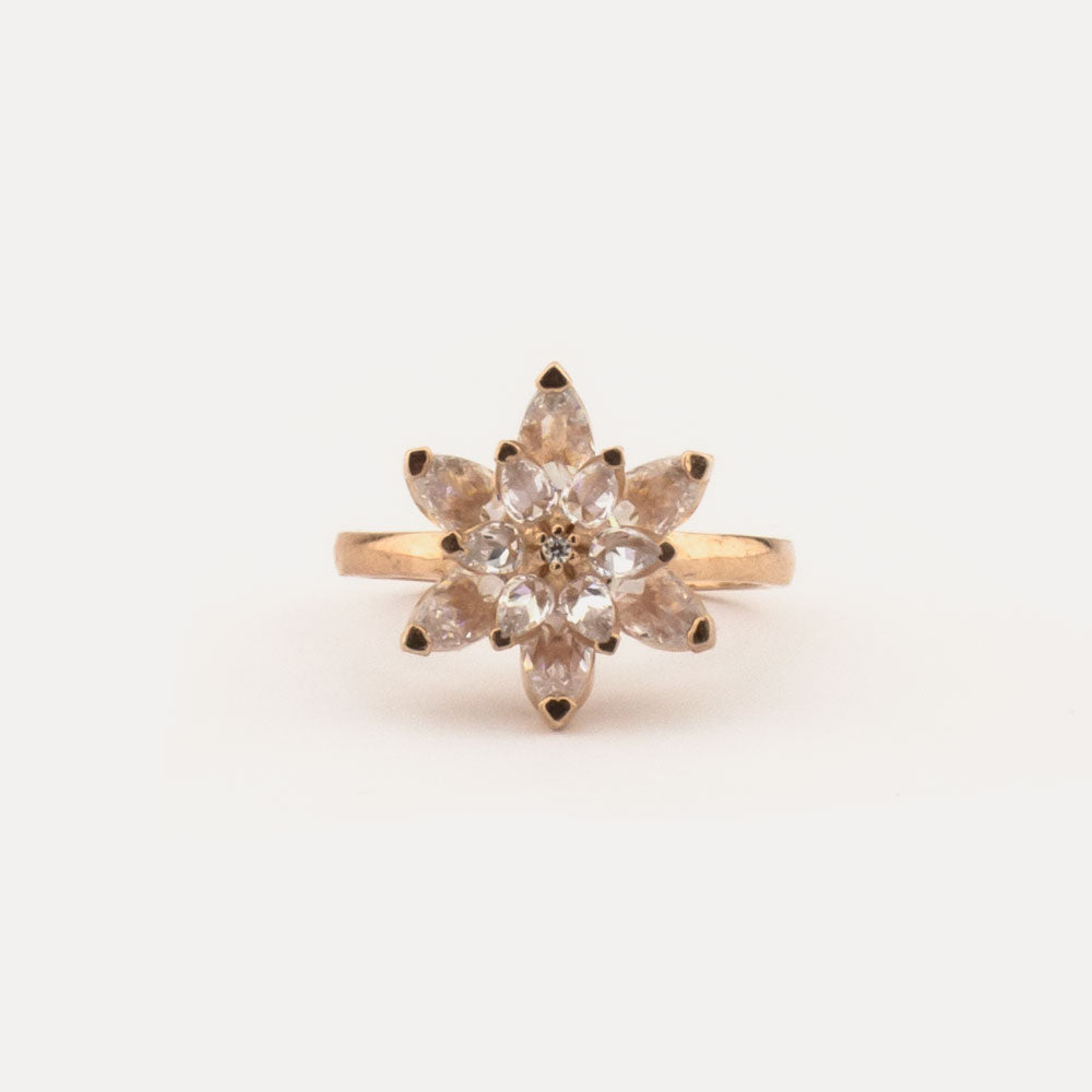 Zilveren ring BLAR097